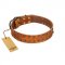 "Walk and Shine" FDT Artisan Tan Leather Bulldog Collar with Antiqued Studs