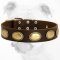 Exclusive Leather Bulldog Collar with Vintage Brass Oval Plates