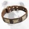 Extraordinary Leather Bulldog Collar with Old Vintage Plates