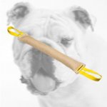 Strong Jute Bulldog Bite Tug