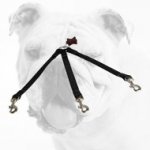 All Weather Triple Nylon Bulldog Coupler