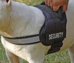 Security Bull dog harness forValley Bulldo tracking, patrol work