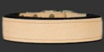 1.5 inch width PADDED LEATHER DOG COLLAR 3.8 cm width Collar