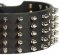 3 inch Spiked Leather Dog Collar for Bulldog