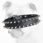 Fabulous Spiked Leather Bulldog Collar with 2 Rows of Spikes