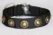 Nylon Dog collar with silver conchos