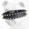 Fabulous Spiked Leather Bulldog Collar with 2 Rows of Spikes