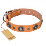 "Twinkle Twinkle" FDT Artisan Incredible Studded Tan Leather Bulldog Collar