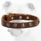 Best Hand-Decorated Durable Leather Bulldog Collar with Studs