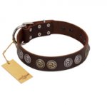 "Treasure Hunter" FDT Artisan Brown Leather Bulldog Collar with Old-Bronze-like and Silvery Medallions