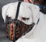 Bulldog Leather Muzzle-Hand painted leather Muzzle for BULLDOGS