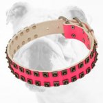 Superior Designed Pink Leather Bulldog Collar with Fancy Studs