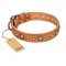 "Feast of Luxury" FDT Artisan Tan Leather Bulldog Collar with Old Bronze Look Circles