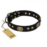 "High Fashion" FDT Artisan Studded with Plates Black Leather Bulldog Collar
