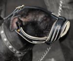 BullyPit Royal Nappa Leather Anti Barking Muzzle