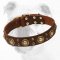 Leather Bulldog Collar with Trendy Brass Decorations