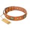 "Saucy Nature" FDT Artisan Tan Leather Bulldog Collar with Old Bronze Look Plates and Skulls