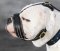 Anti-Barking Nappa Padded Leather Bulldog Muzzle