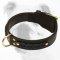 Gorgeous Wide 2 Ply Leather Dog Collar - Braided Leather Collar