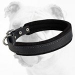 Padded Leather dog collar with thick felt