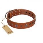 "Sweet Caramel" Designer FDT Artisan Tan Leather Bulldog Collar