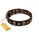 "Captain Hook" FDT Artisan Brown Leather Bulldog Collar with Stars and Skulls