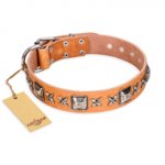 "Glamour Finery" FDT Artisan Female Bulldog collar of natural leather with stylish old-looking circles