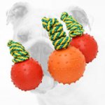 Rubber Bulldog Water Ball on a Strong String