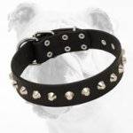 Luxury Hand-Made Leather Bulldog Collar with Nickel Pyramids