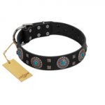 "Boundless Blue" FDT Artisan Black Leather Bulldog Collar with Chrome Plated Brooches and Square Studs