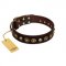 "Street Fashion" FDT Artisan Brown Leather Bulldog Collar Adorned with Circles and Skulls