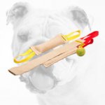 Practical Bulldog Puppy Training Set of Tugs