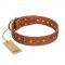 "Natural Beauty" FDT Artisan Tan Leather Bulldog Collar with Shining Silver-like Studs
