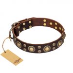 'Flower Melody' FDT Artisan Brown Leather Dog Collar with Mixed Studs for Bulldog Breeds Daily Use