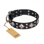 "Smart Geometry" FDT Artisan Studded Leather Bulldog Collar