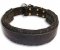 Leather dog collar with thick felt for all breeds - 1.5" width