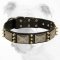 Gorgeous War Leather Bulldog Collar with Massive Plates and Spikes