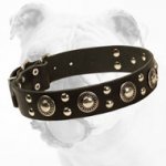 Hand-Decorated Stylish Leather Bulldog Collar