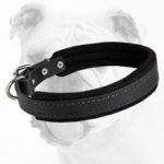 Super Strong Hand-Made Leather Soft Padded Bulldog Collar