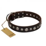 "Gorgeous Shields" FDT Artisan Brown Leather Bulldog Collar with Old Silver-like Circles and Small Camomiles