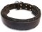 Bulldog Cute Black dog collar 19 inch/19'' collar - C24