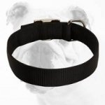 Fashionable Super Strong Walking Nylon Bulldog Collar