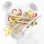 Ultimate Jute Bulldog Bite Set for Training