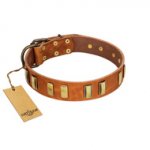 "Olive Slice" FDT Artisan Tan Leather Bulldog Collar with Engraved and Smooth Plates