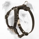 Hand-Decorated Top Quality Leather Bulldog Harness for Puppies