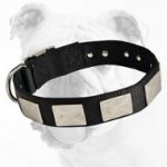 Reliable Nylon Bulldog Collar With Vintage Plates