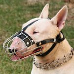 Walking Padded English Bull Wire Basket Muzzle