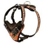 Super Strong Leather Bulldog Harness for Agitation Training