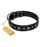 "Polar Lights" Designer FDT Artisan Black Leather Bulldog Collar with Silver-Like Studs