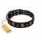 Pirate's Spell' FDT Artisan Black Leather Bulldog Collar with Engraved Studs and Medallions
